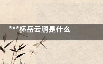 ***杯岳云鹏是什么意思  ***杯岳云鹏梗出自于哪里